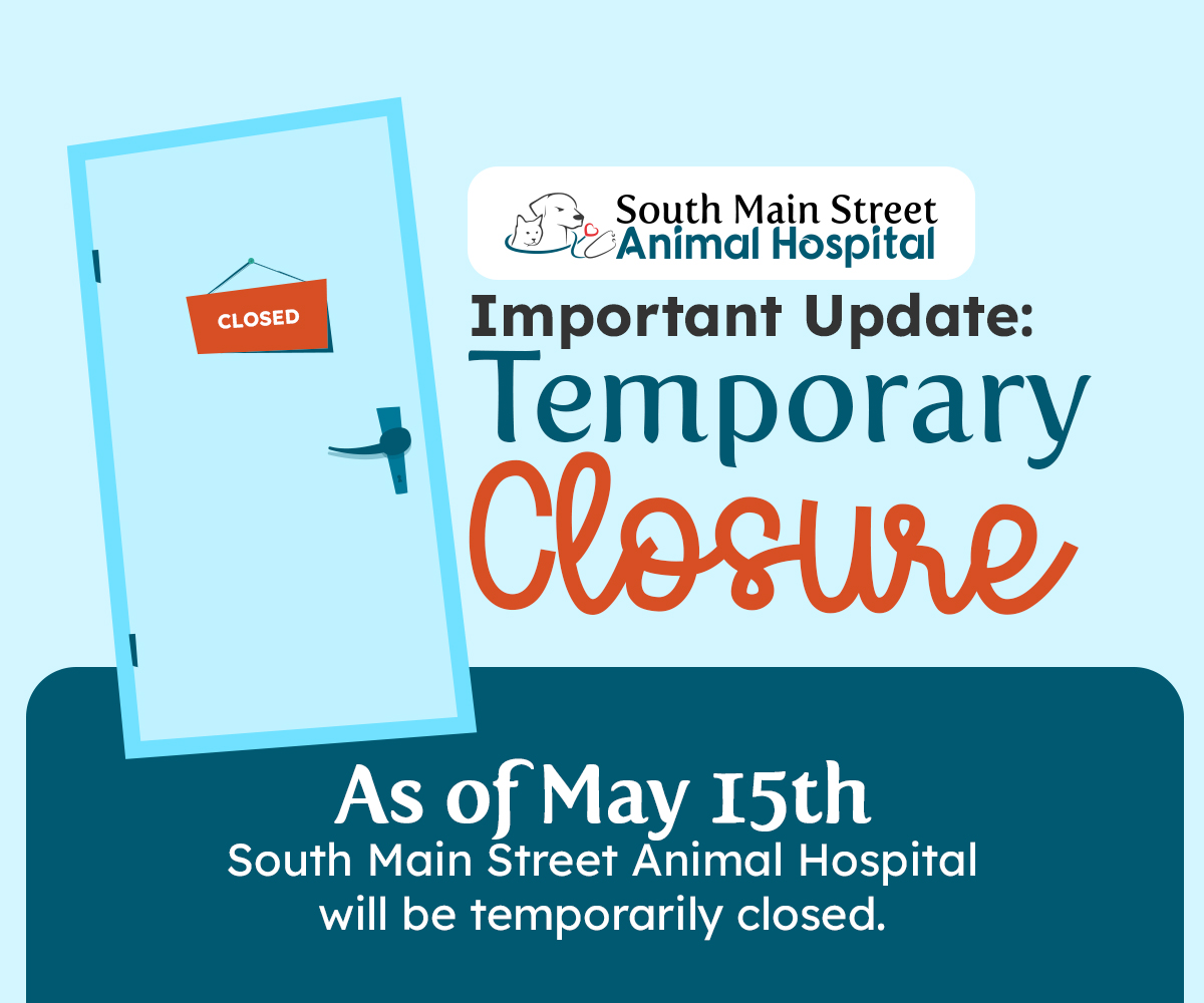 As of May 15th, South Main Street Animal Hospital will be temporarily closed. 